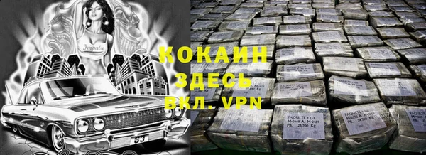 дживик Новодвинск