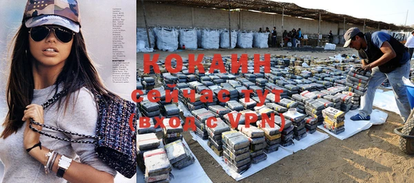 сатива Нефтегорск