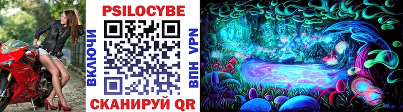 Галлюциногенные грибы Psilocybe Оленегорск